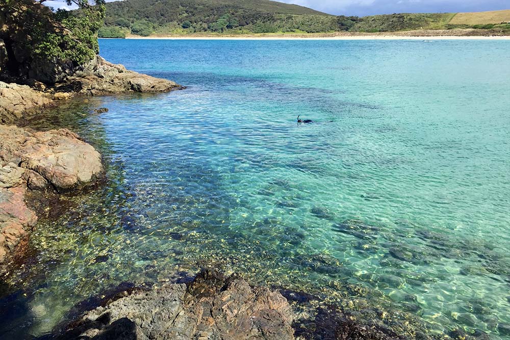 ケープブレット半島の周りをアフタヌーンシュノーケリング