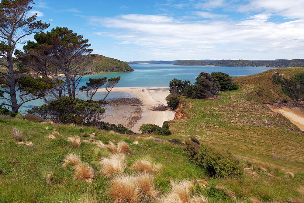 ニュージーランドの海岸線の特徴である隠れたビーチ
