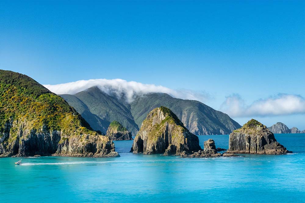 ウエリントンでチャーターの終わりを迎えよう